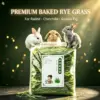 Ryegrass seco de 26 años 500G