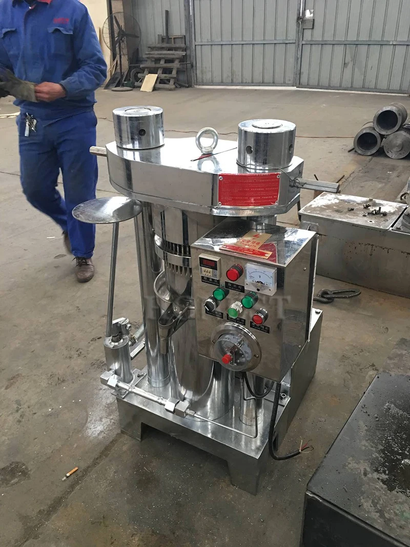 Easy Operation Avocado Oil Production Line / Oil Pressers Avocado Line