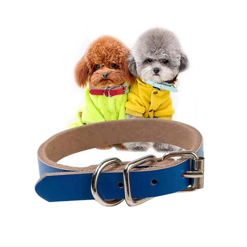 custom puppy collars