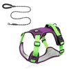Purple 202 rope