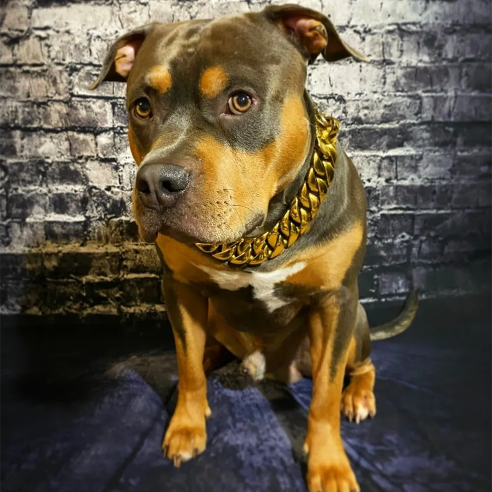 Hand gefertigtes 316l Edelstahl 23mm 32mm schwarzes Metallketten-Hunde  halsband fr Pitbull, Dobermann, Bulldogge, Rottweiler