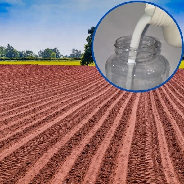 Spray Fissante Sabbia Trasparente - 500 Ml | Impermeabilizzante Per Pareti E Tetti | Legante Forte