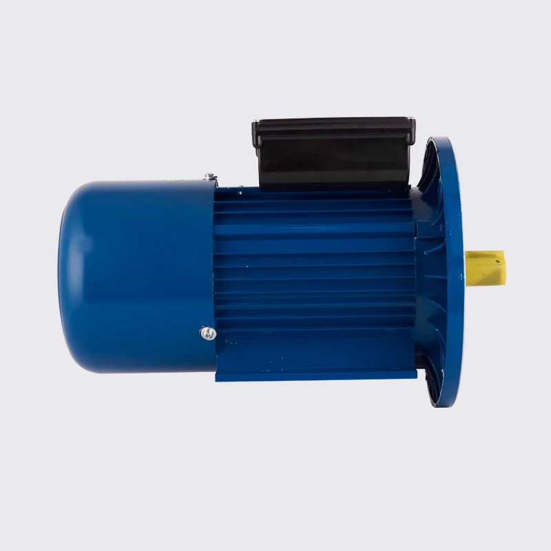 220V Single Phase Capacitor Start AC Induction Motor Waterproof Enclosed 50/60Hz Frequency Asynchronous Motor