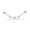 Argento-2667-2