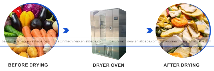 Fruit Dryer - Baixin