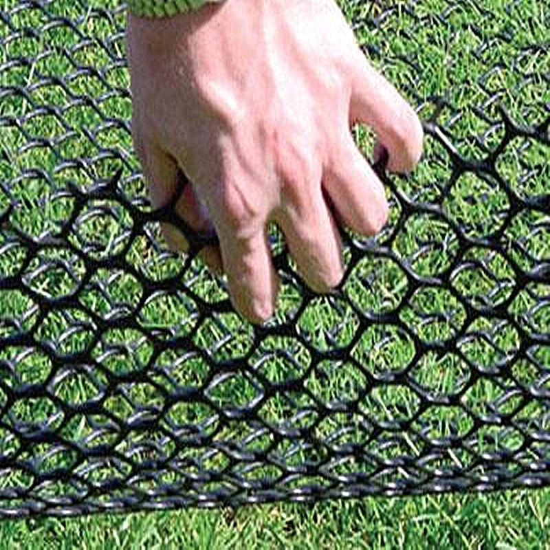 HDPE Plastic Composite Geonet Grass Grid Modern Turf Reinforcement Mesh for Parks Earthwork Outdoor Greening for Parks Gardens