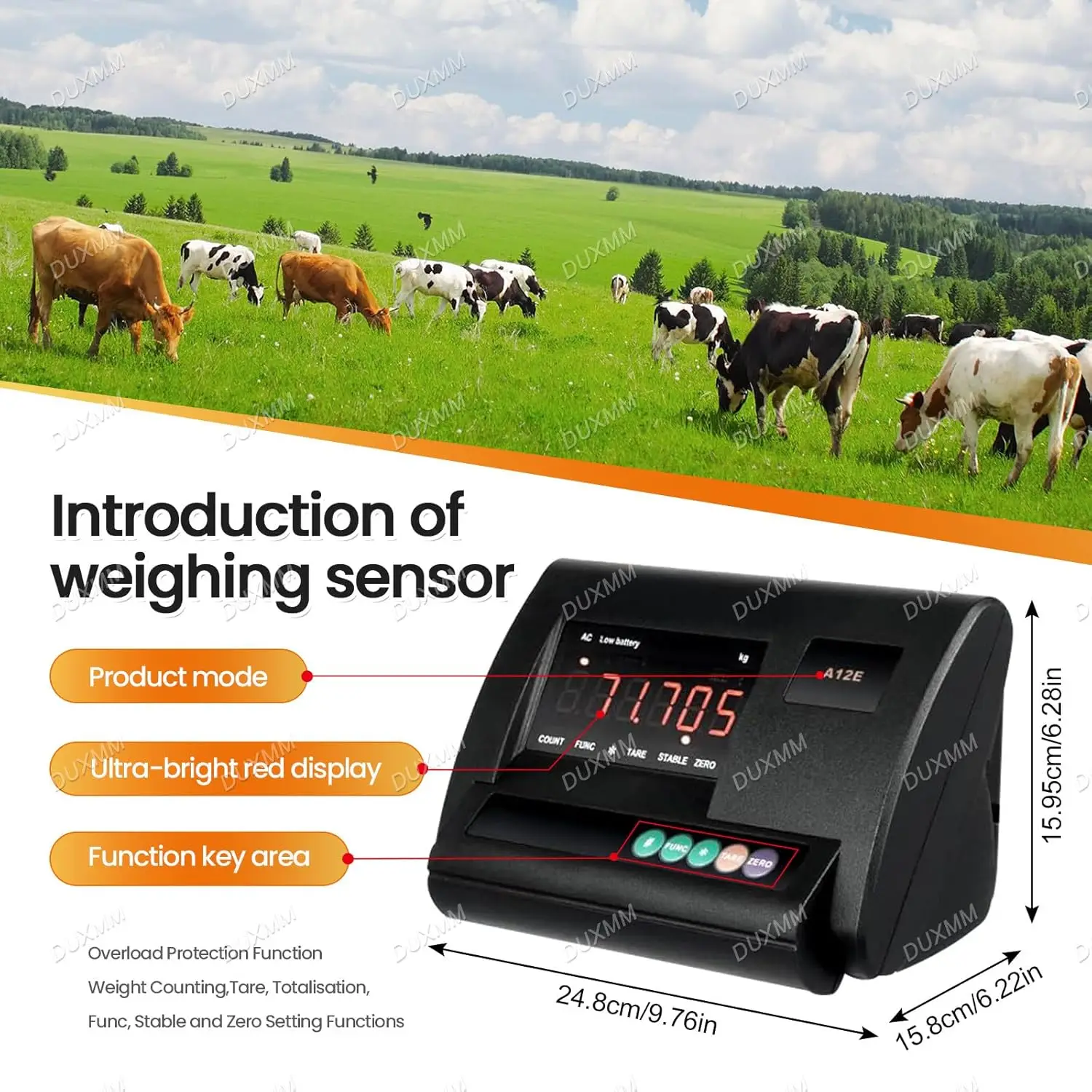 XK3190-A12E LED Weight Indicator - Accurate Weighing Solutions