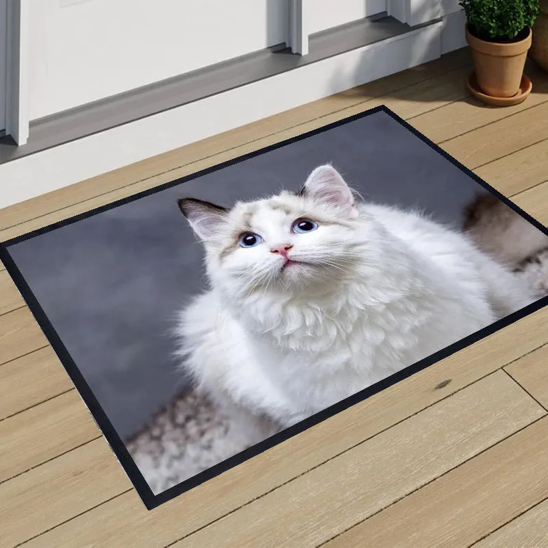 Polyester Waterproof Blank Mat Door Mats for Pet Digital Printing Pet Door Mat
