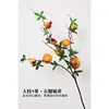 Large-branched nine-fruited pomegranate, orange-yellow
