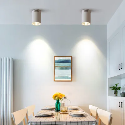 LED Surface Mounted Downlights Efficient Lighting Solutions