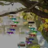 Transparent butterfly (new)