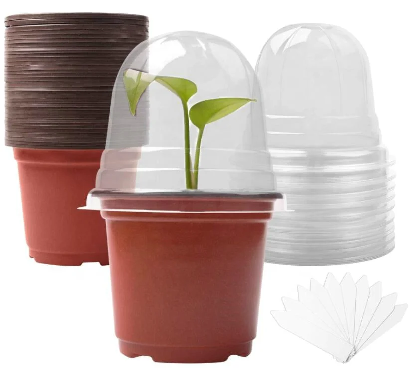 30 Pots De Pépinière Transparents Avec Dôme - Pots à Semis Avec Trou Drainage - Kit Jardinage