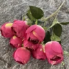 Deep Pink 7