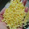 5mm giallo