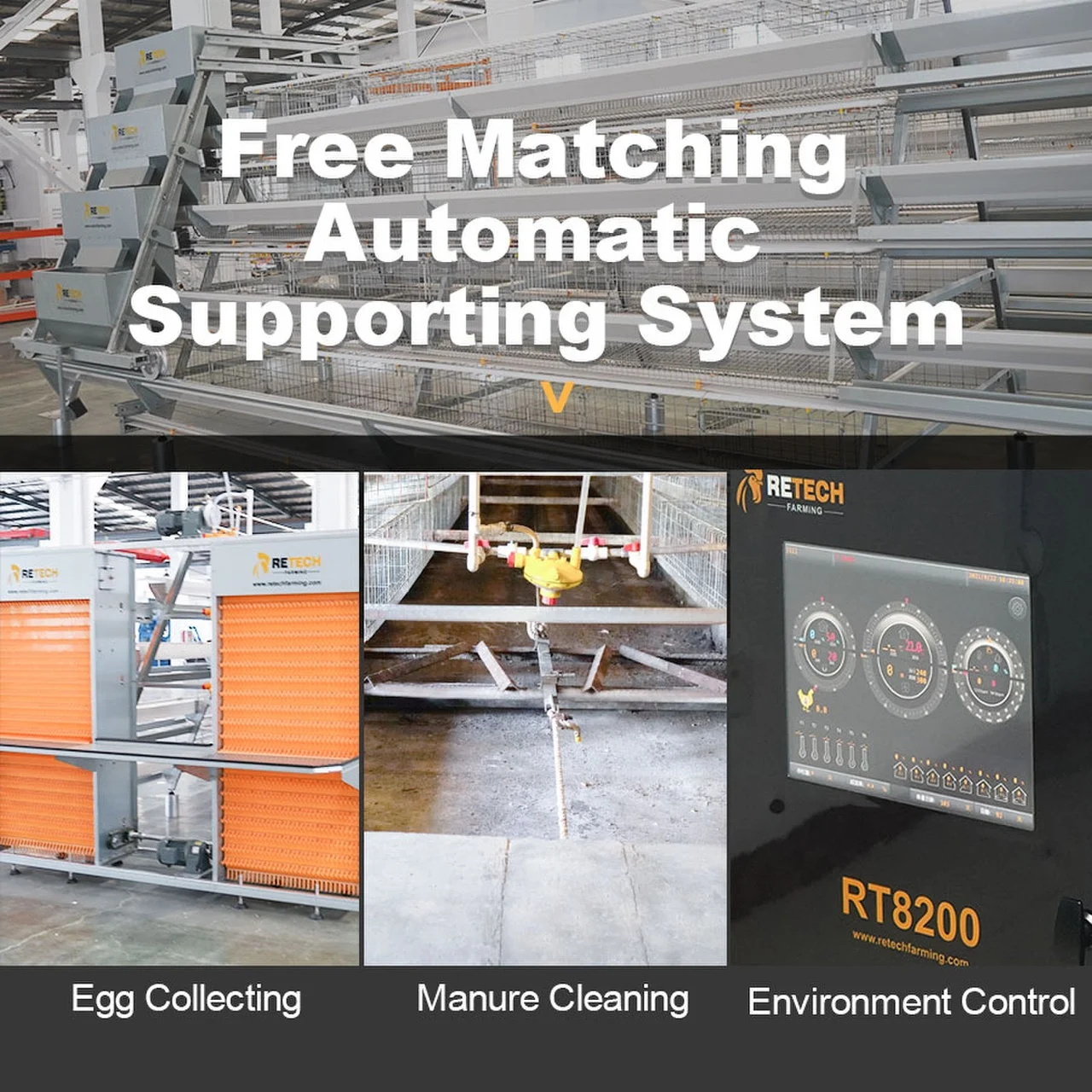 Design Poultry Control Shed Automatic Chicken Layer Battery Cages for Egg Laying Hens