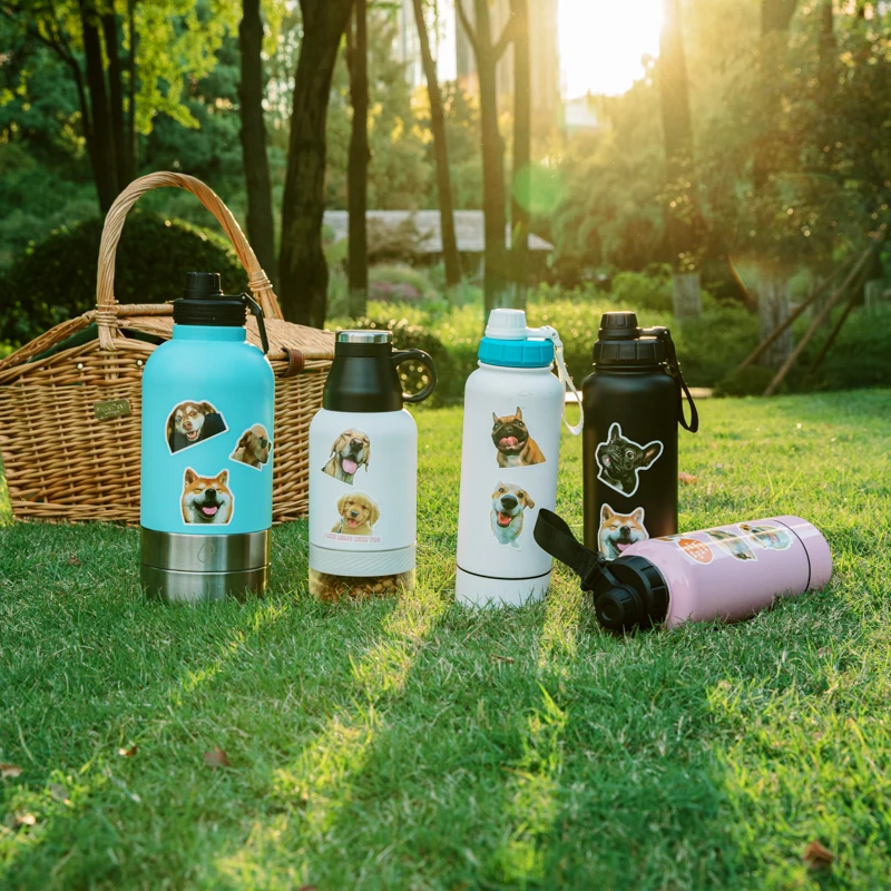Travel Dog Water Bottle 3 In 1 32oz Custom Double Wall Stainless Steel