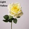 Giallo-chiaro