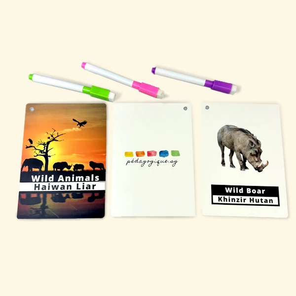 High Quality Custom Making English Animal and Plant Pattern Flash Card Wholesale Custom Print Logo Kids Educational Flashcards