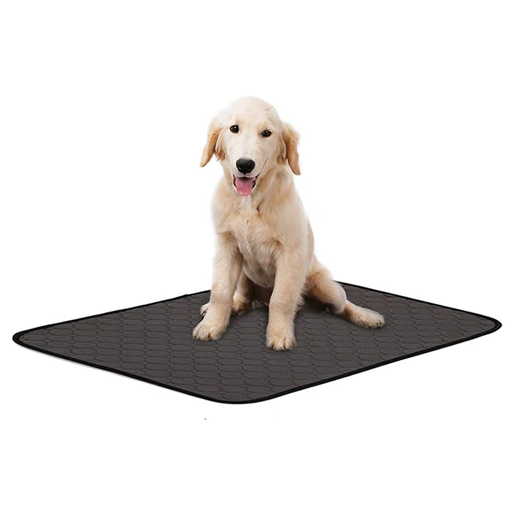 Washable Absorbent Indoor Pee Pad for Dog Training