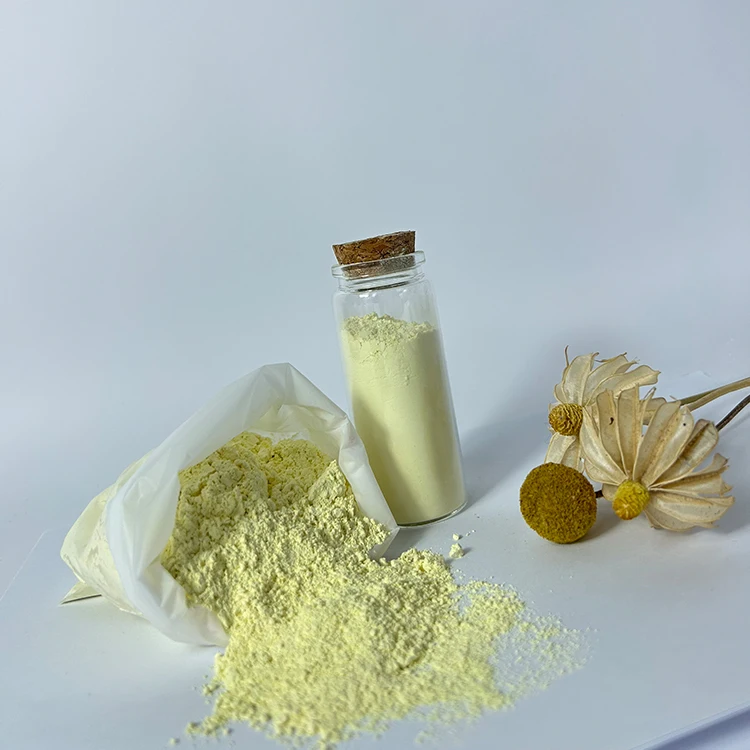 DIY Aromatherapy Plaster Powder Model Powder Korean High Density Aromatherapy Diffuser Pendant Handmade Material Alpha Gypsum