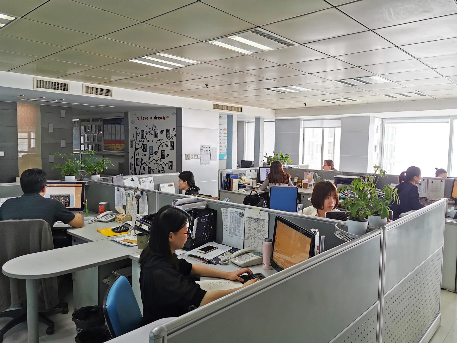 Nanjing Maxeast International Co.,Ltd. 2