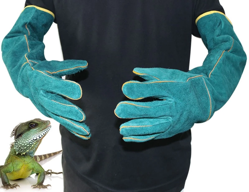 bite gloves for dogs