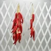Red long pepper