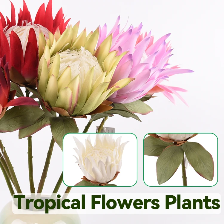 Ins Style Tropical Plants Single Stem Dried White Artificial King