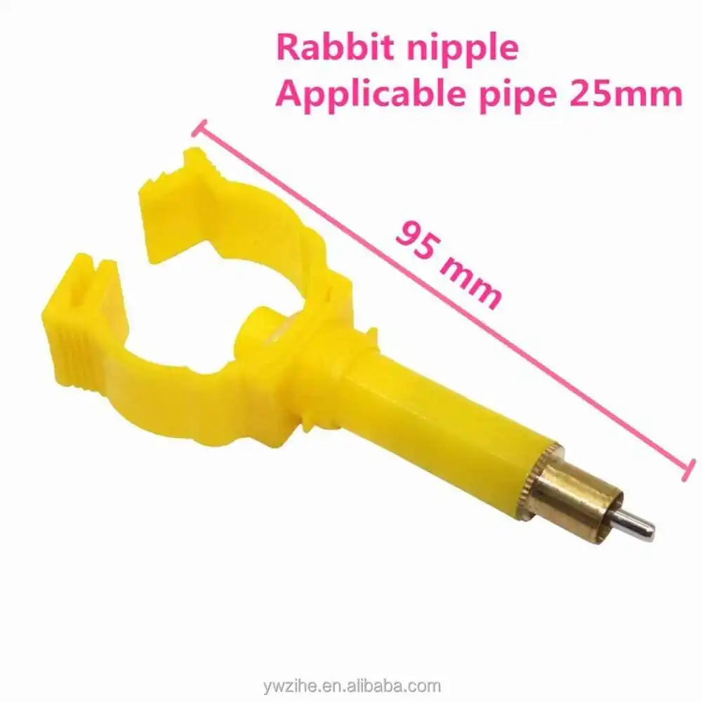 CHL4689 x (3)_zip.jpg