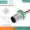 M12-A-5P male PG9