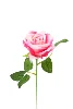 rosa rojizo