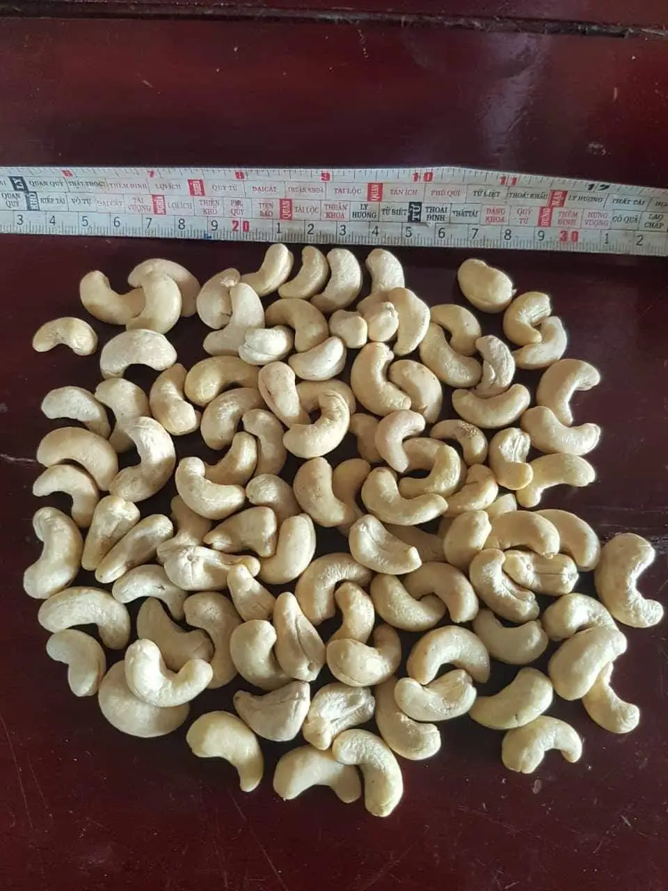 High Quality Low Fat Raw and Fresh Cashew Kernels Whole and Broken Fresh Nut Snack Best Price