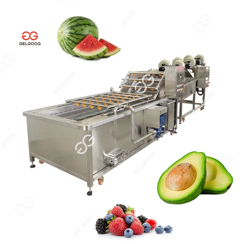Gelgoog 500Kg/H Avocado Washing and Packing Processing Plant Mandarin Orange Cleaning Sorting Machine for Orange