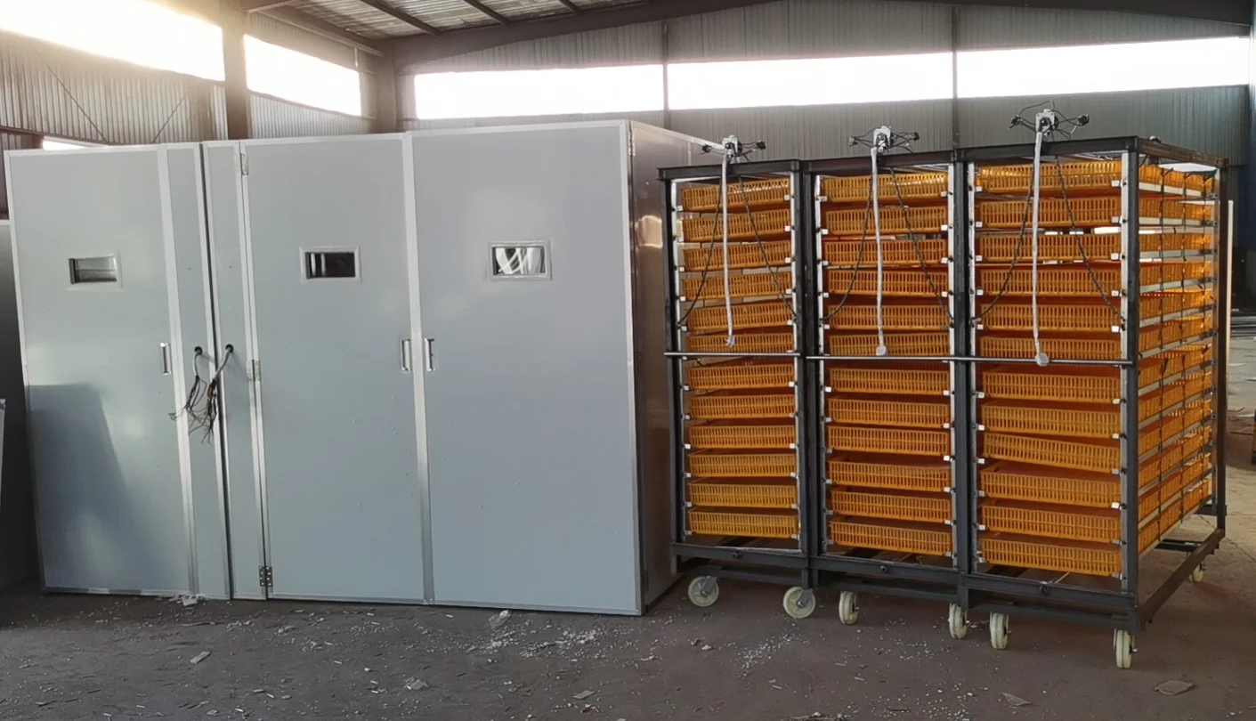 Large 10000 Egg Incubator New Commercial Chicken Goose Ostrich Duck Turkey Egg Incubator for Sale 220V
