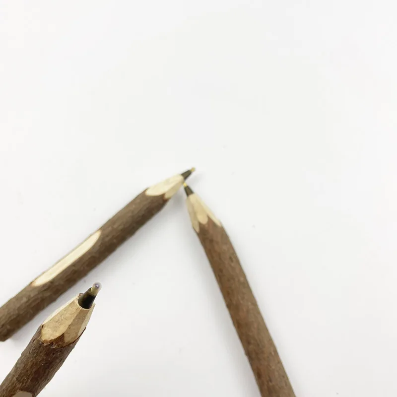 OEM China Factory Custom Logo Natural Tree Branch Ball Pen Wood Twig Ballpoint Pen