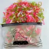 2#     500PCS