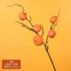Persimmon branch with 5 fruits - orange-yellow