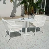 1 white chair(without table)