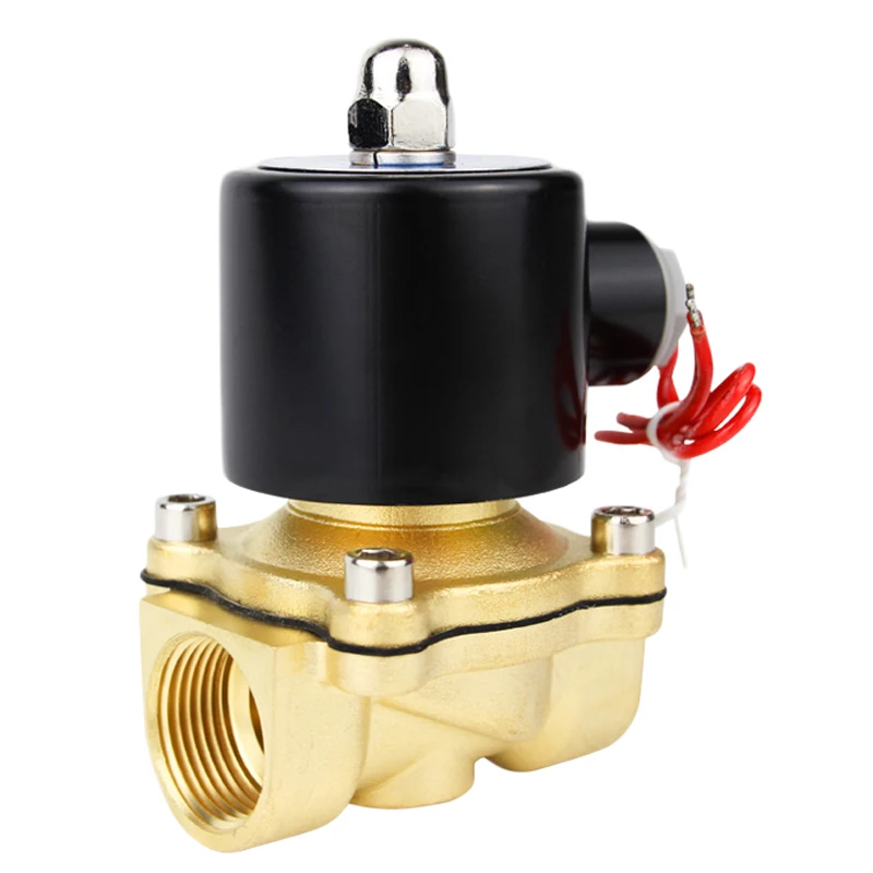 2W Normally Close Electric Brass 12v 24v 220V 1 2 3 Inch Solenoid Valve for Water Control Two Way Magnetic Water Solenoid Valve