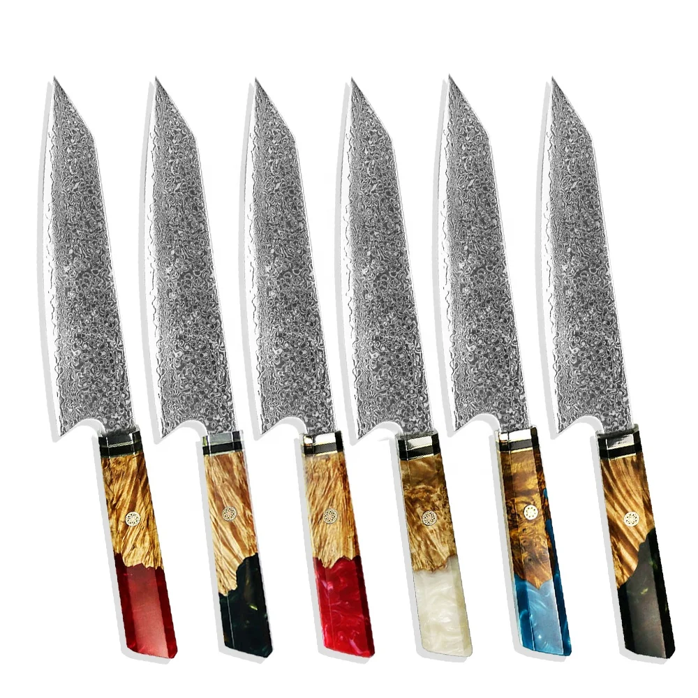 OEM 67 Layer Vg10 Damascus Steel Kitchen Knife Set Damascus Knife Set with  Wood&Resin Integrated Handle - China Damascus Kitchen Knife and Knife Set  price