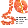 แถบยูคาลิปตัส 72 ชิ้น - สีส้ม (12 แถบ)