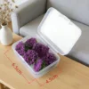 colorido -Caja de 6 piezas, violeta