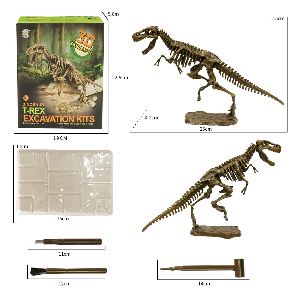 SAFIGLE Brinquedos Educativos Para Crianças Fósseis De Dinossauros 1Pc  Conjunto De Jogos Infantis Para Crianças Brinquedos Educativos Científicos  Para Escavação Modelos De Dinossauros