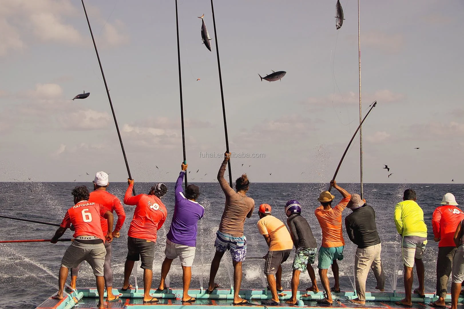 Carbon Fiber/ Fiber Glass Tuna Rod,Tuna Fishing (jack) Pole Buy Tuna