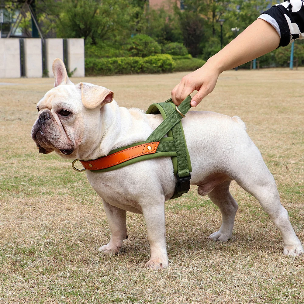 Nylon No Pull Dog Harness Vest Strap With Handle Training Easy Walk