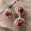 3 diamond rose shallow coffee
