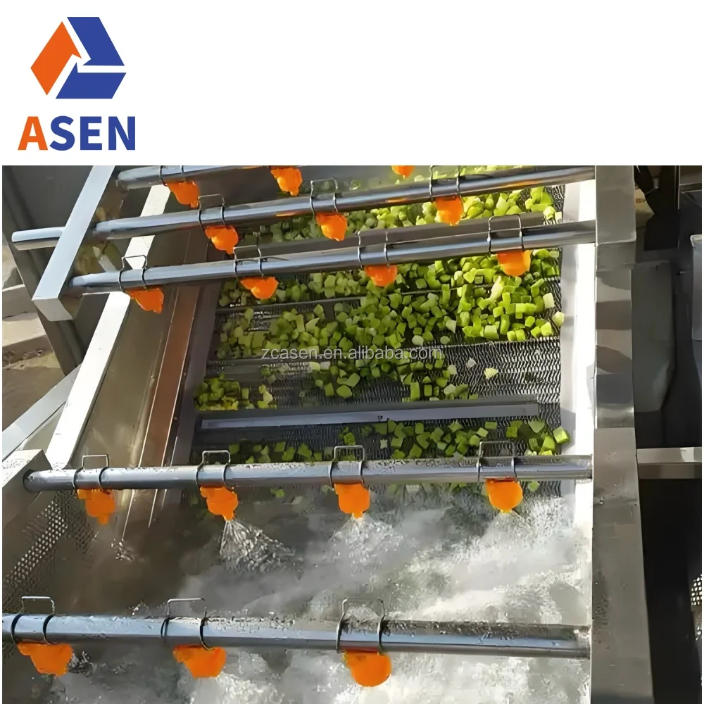 Ginger Cucumber Tomato Fruit Washing Machine Sorting Processing Line Vegetable Cleaning Equipment