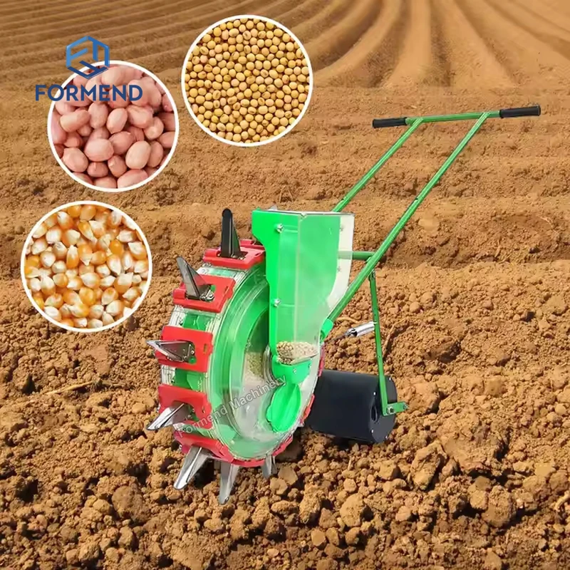 ruda plant seeds Rue Seeds