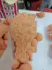 Multi#7-chicken thighs-19CM