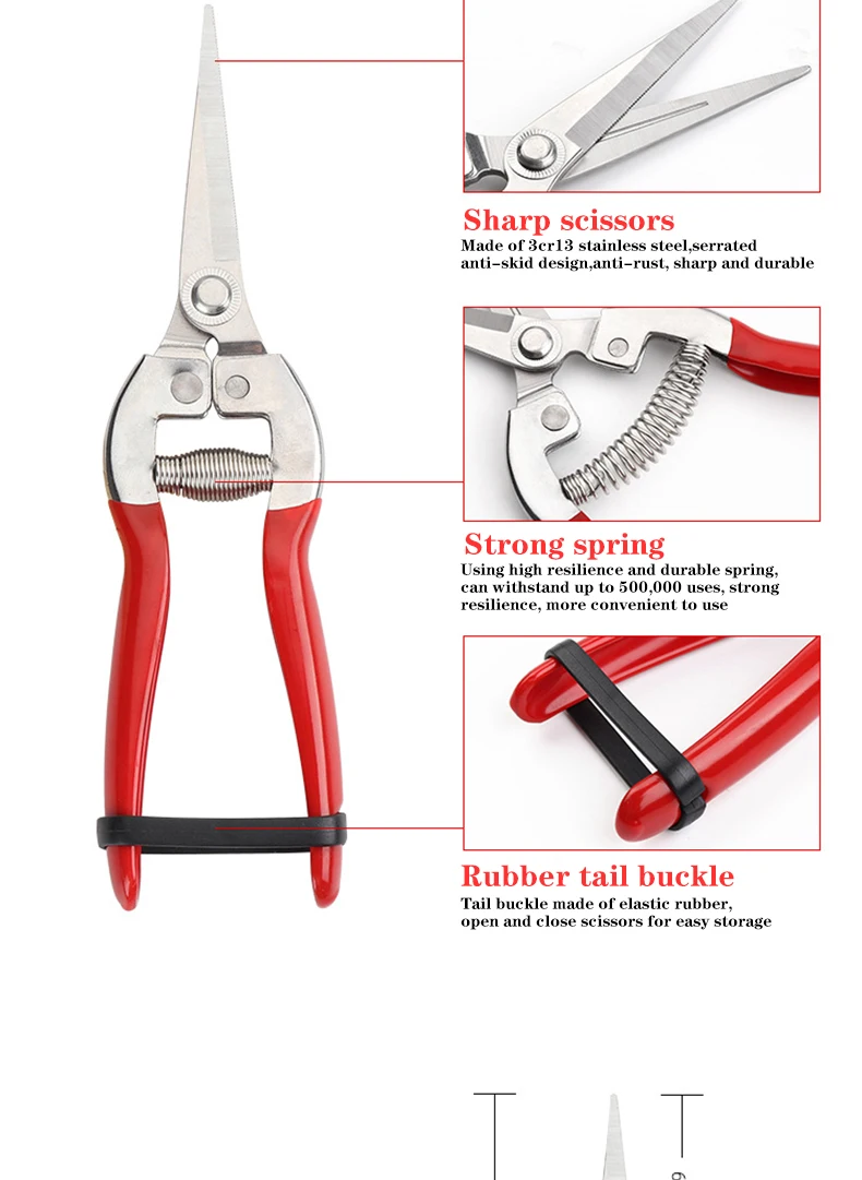 Details about STAINLESS STEEL GARDENING PRUNING SHEARS FRUIT PICKING TRIM WEED BRANCHES TOOLS Details about STAINLESS STEEL GARDENING PRUNING SHEARS FRUIT PICKING TRIM WEED BRANCHES TOOLS